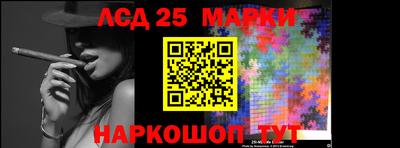 гашик Новодвинск