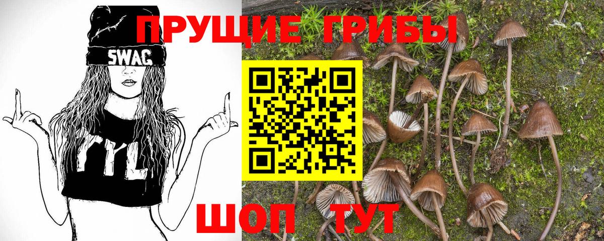 Псилоцибиновые грибы Magic Shrooms  Псилоцибиновые грибы MAGIC MUSHROOMS  Вход с VPN  Углич 