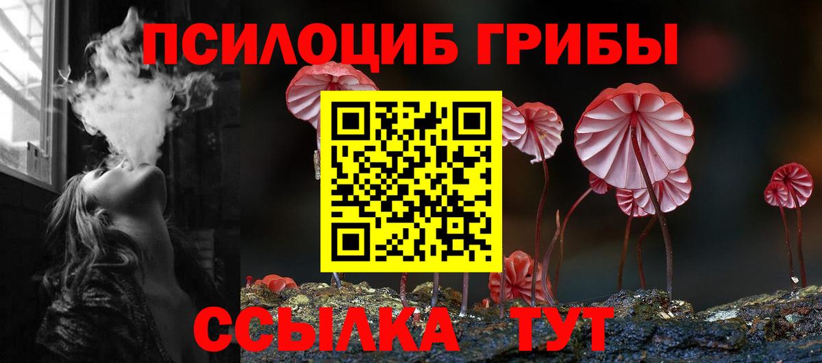 Галлюциногенные грибы прущие грибы Углич