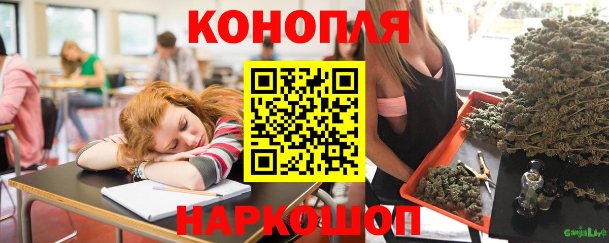 Конопля планчик Углич